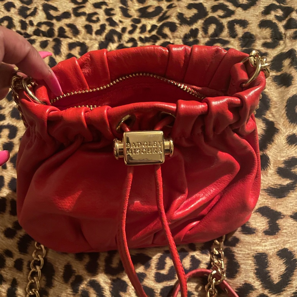 Authentic Badgley Mischka Handbag
